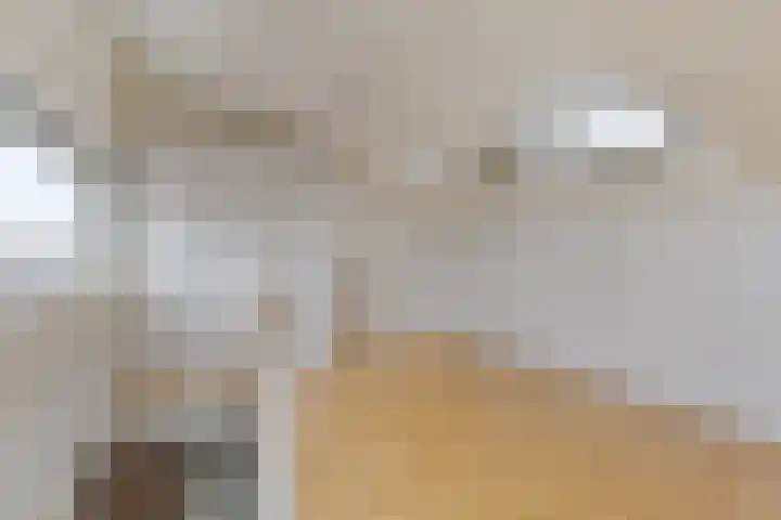 Schellingstraat 27 Delfgauw thumbnail 32