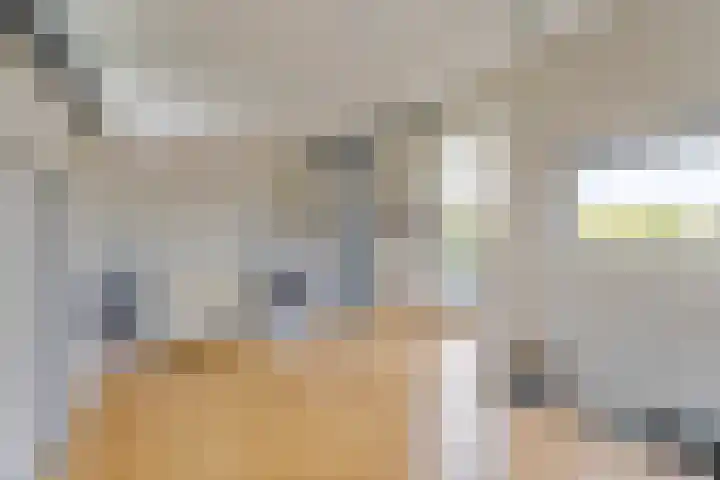 Schellingstraat 27 Delfgauw thumbnail 33