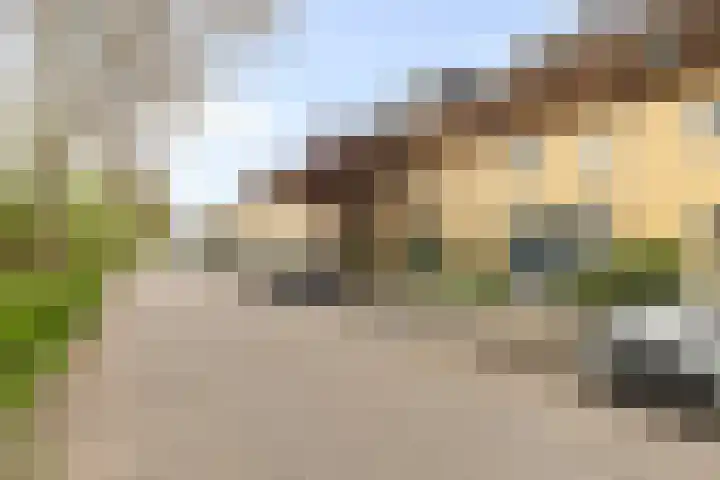 Schellingstraat 27 Delfgauw thumbnail 34