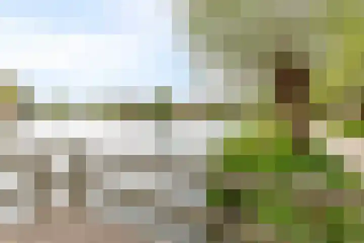 Schellingstraat 27 Delfgauw thumbnail 35