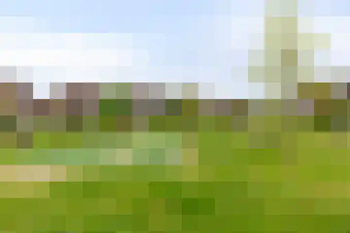 Schellingstraat 27 Delfgauw thumbnail 36