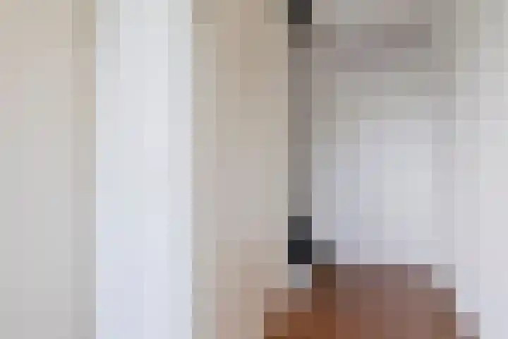 Schellingstraat 27 Delfgauw thumbnail 4