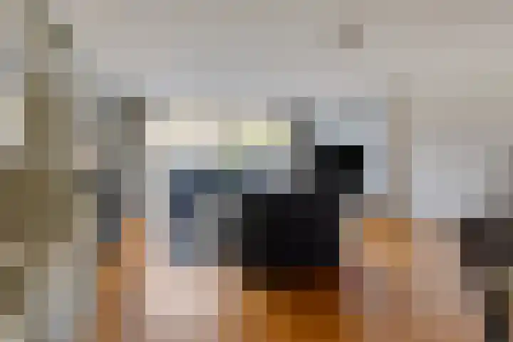 Schellingstraat 27 Delfgauw thumbnail 7