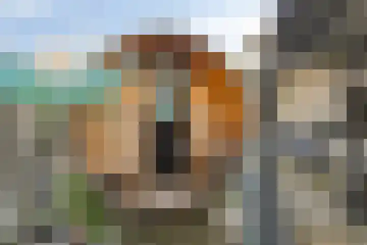 Schellingstraat 3 Oosterhout thumbnail 32