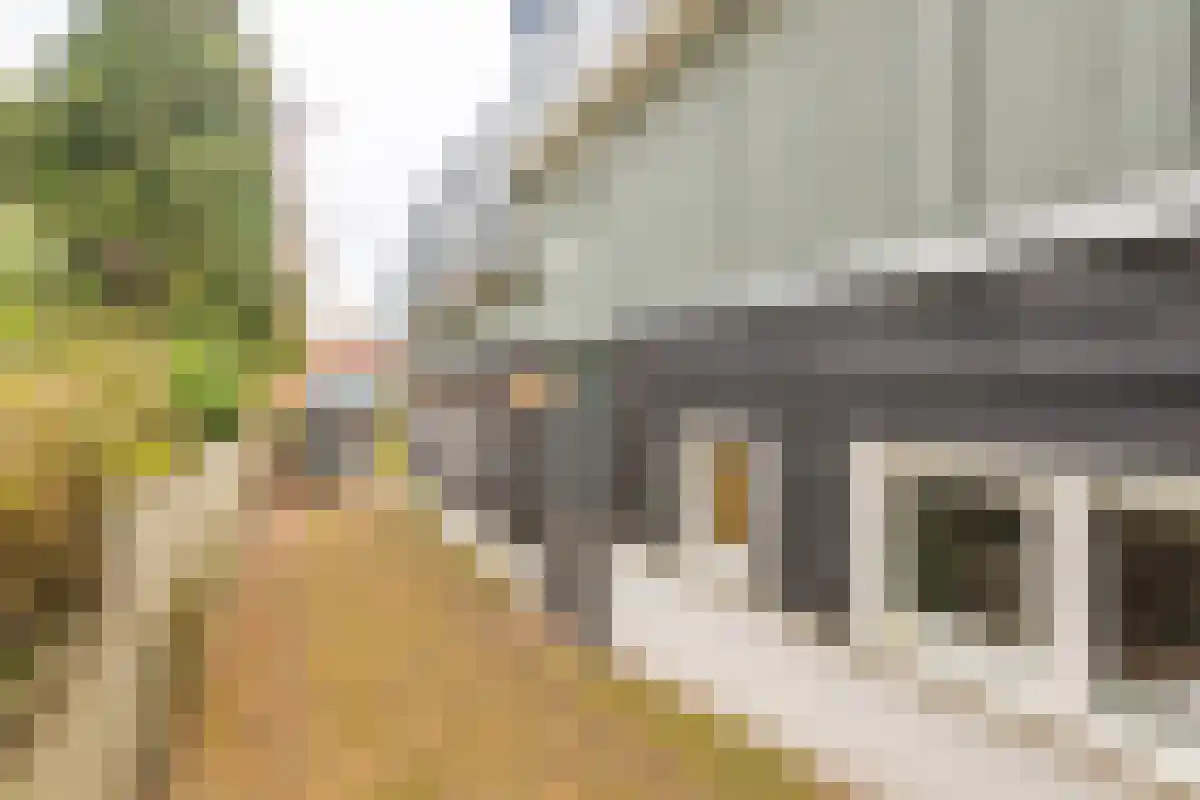 Schellingwouderdijk 313 Amsterdam thumbnail 4