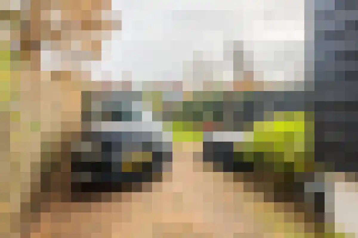 Schellingwouderdijk 313 Amsterdam thumbnail 5