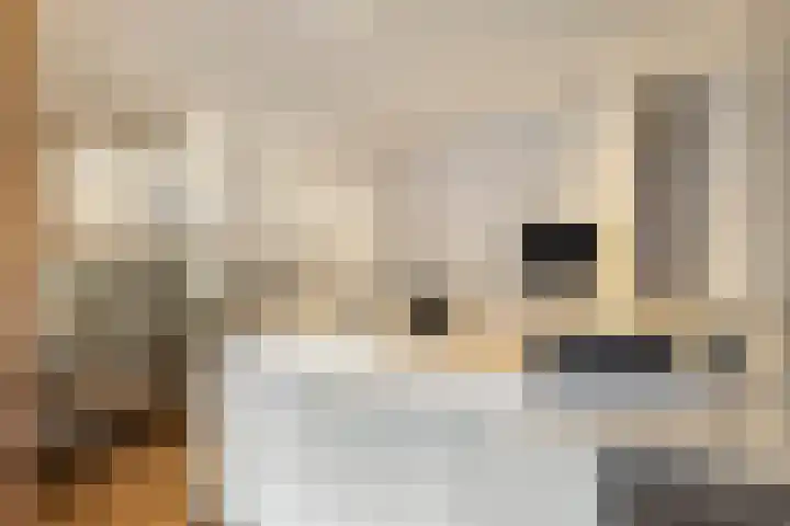 Schellingwouderdijk 317 Amsterdam thumbnail 32
