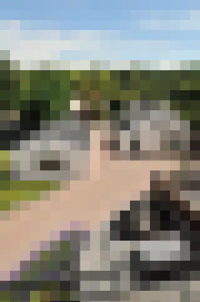 Schellingwouderdijk 317 Amsterdam thumbnail 42