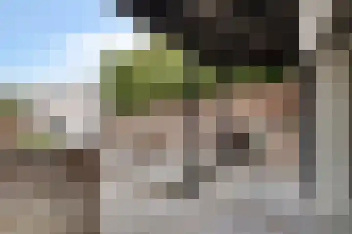 Schellingwouderdijk 317 Amsterdam thumbnail 44