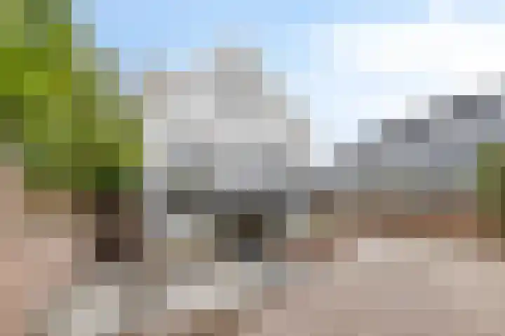 Schellingwouderdijk 317 Amsterdam thumbnail 46
