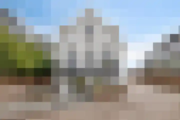 Schellingwouderdijk 317 Amsterdam thumbnail 47