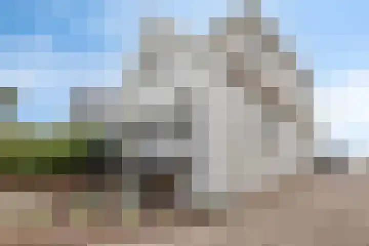 Schellingwouderdijk 317 Amsterdam thumbnail 48