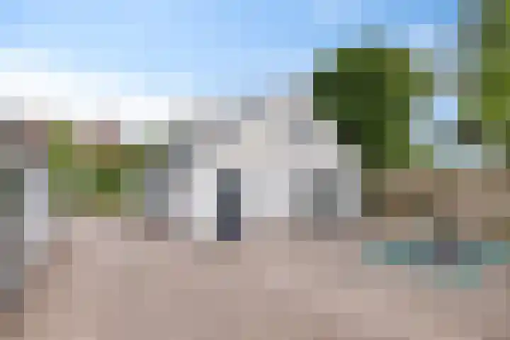 Schellingwouderdijk 317 Amsterdam thumbnail 54