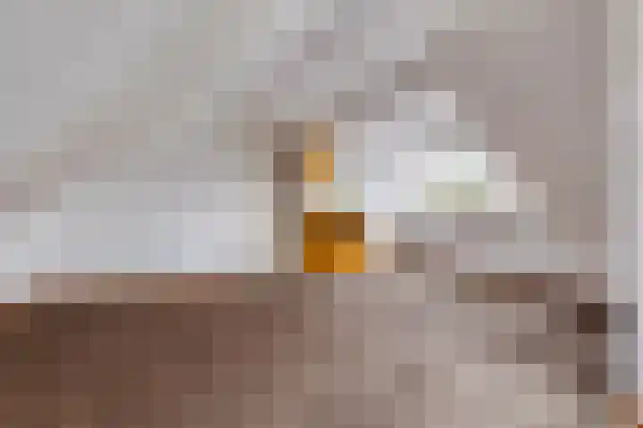 Schellingwouderdijk 317 Amsterdam thumbnail 64
