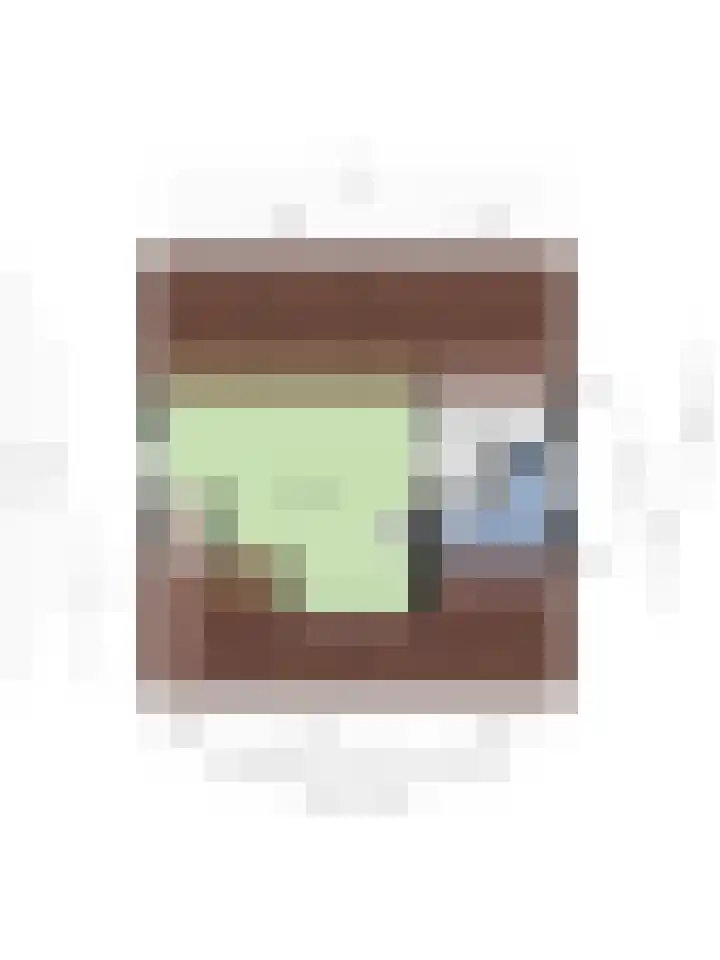 Schellingwouderdijk 317 Amsterdam thumbnail 69