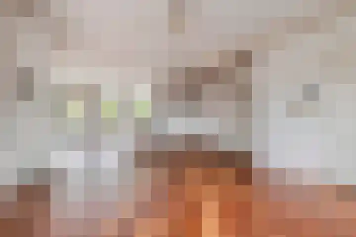Schellingwouderdijk 317 Amsterdam thumbnail 8