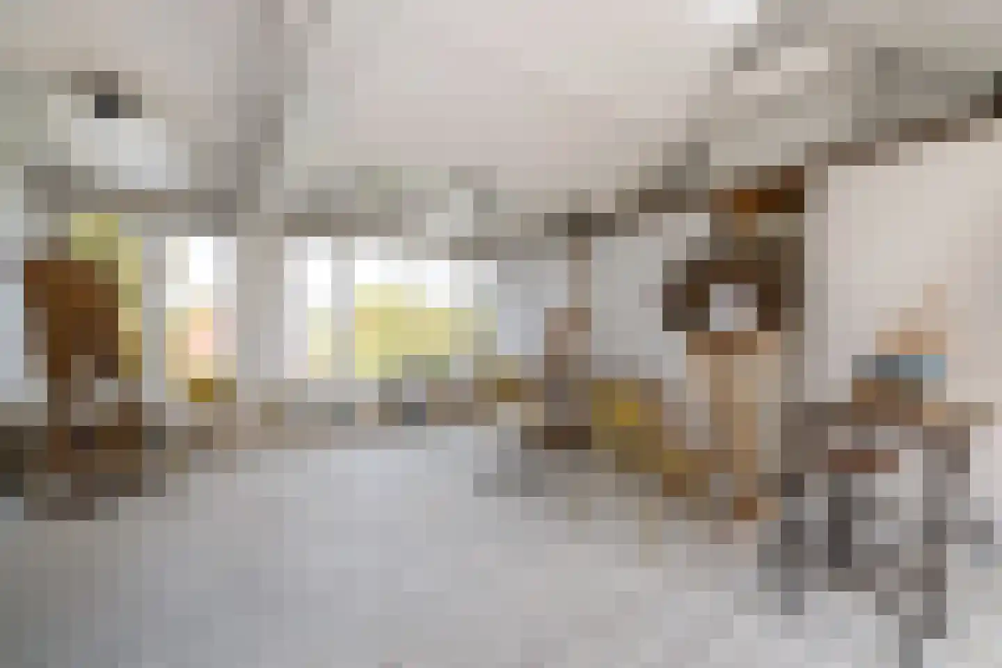 Schellingwouderdijk 331 Amsterdam thumbnail 18
