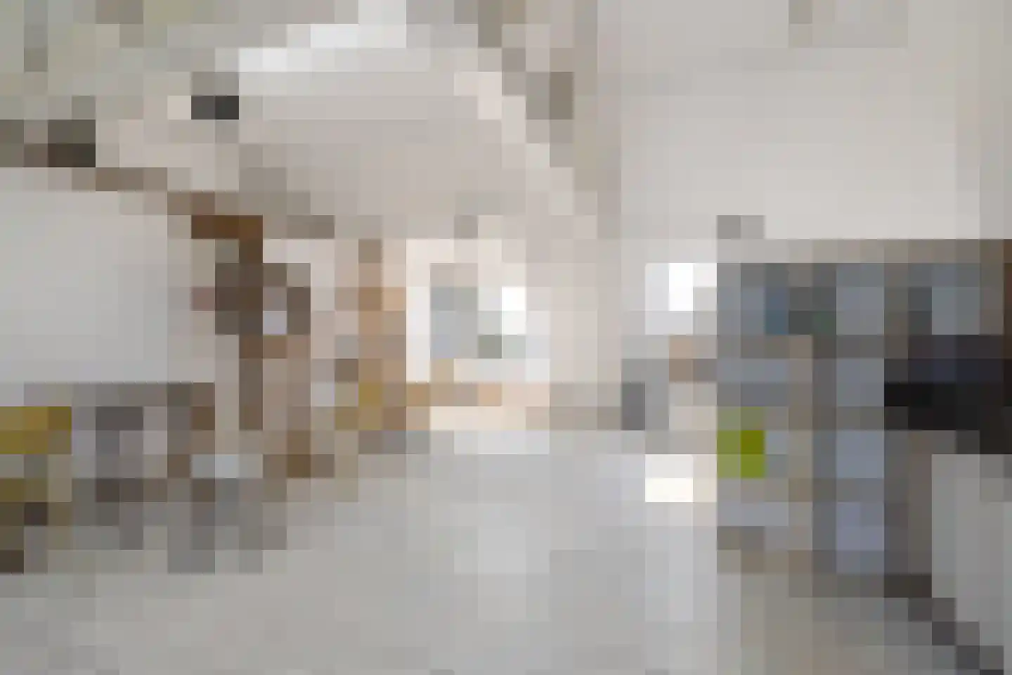 Schellingwouderdijk 331 Amsterdam thumbnail 19