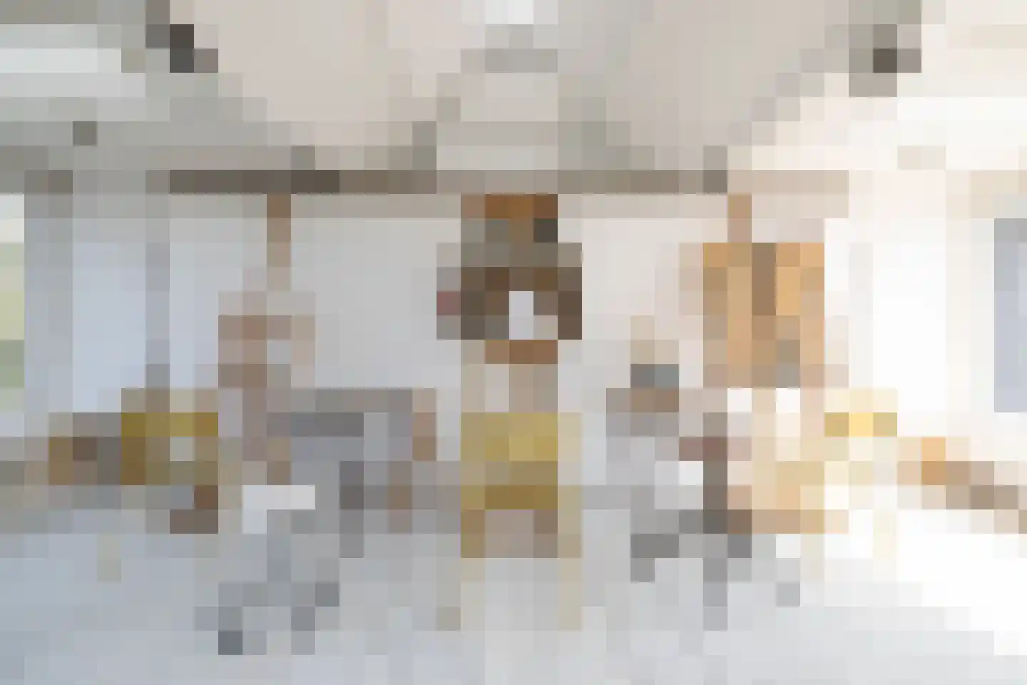 Schellingwouderdijk 331 Amsterdam thumbnail 20