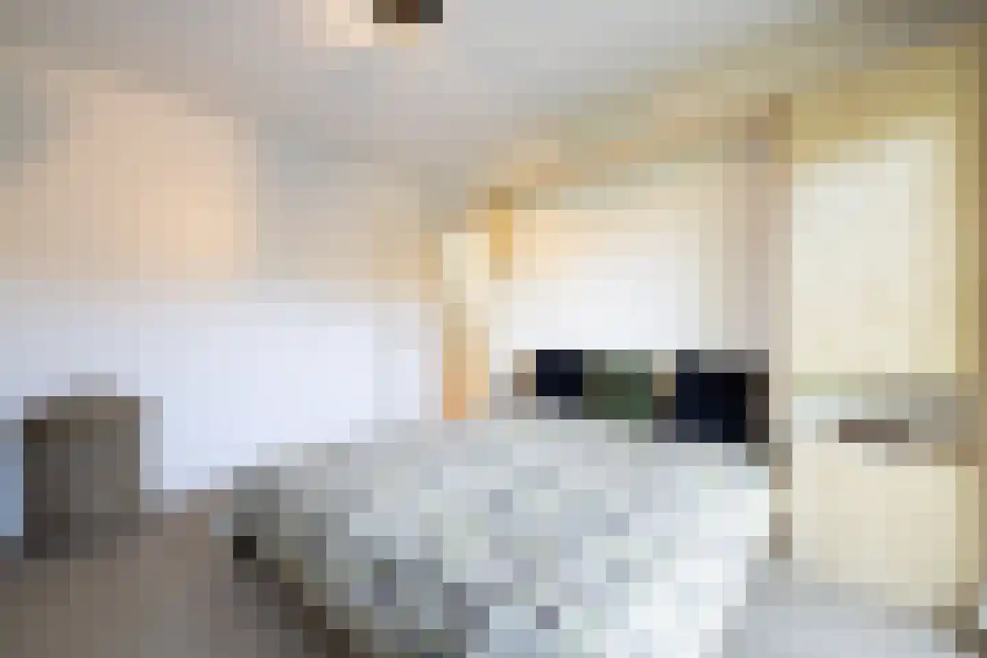 Schellingwouderdijk 331 Amsterdam thumbnail 22