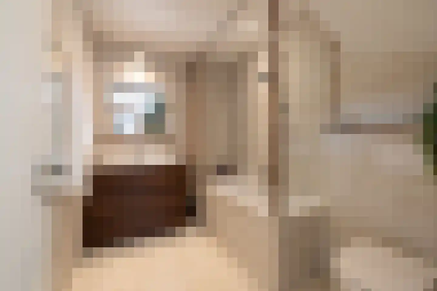 Schellingwouderdijk 331 Amsterdam thumbnail 26