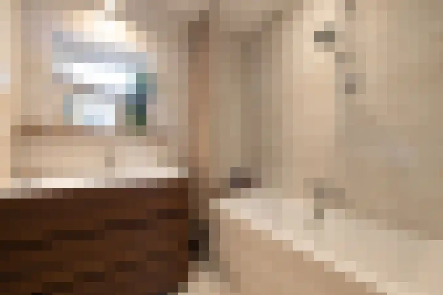 Schellingwouderdijk 331 Amsterdam thumbnail 27