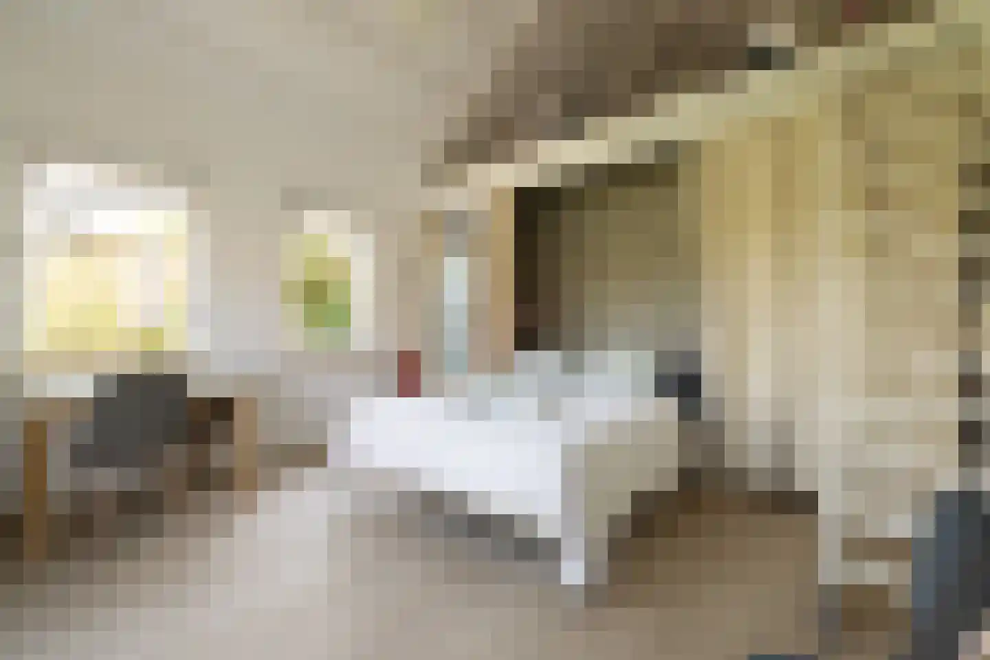 Schellingwouderdijk 331 Amsterdam thumbnail 30