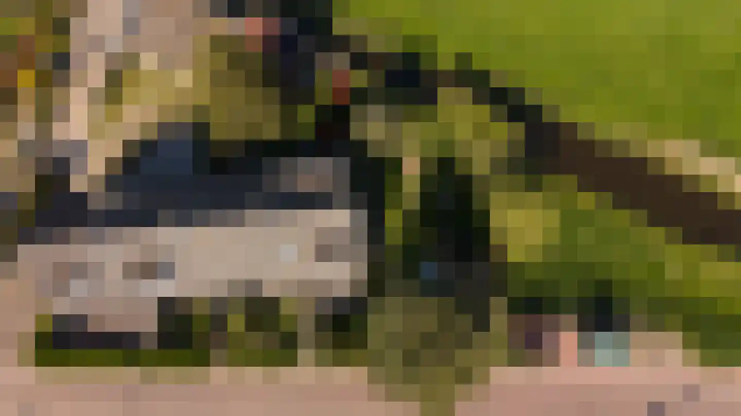 Schellingwouderdijk 331 Amsterdam thumbnail 37