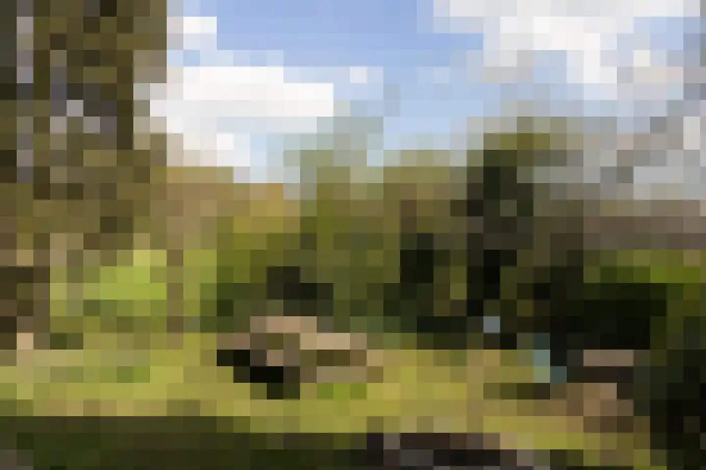 Schellingwouderdijk 331 Amsterdam thumbnail 38