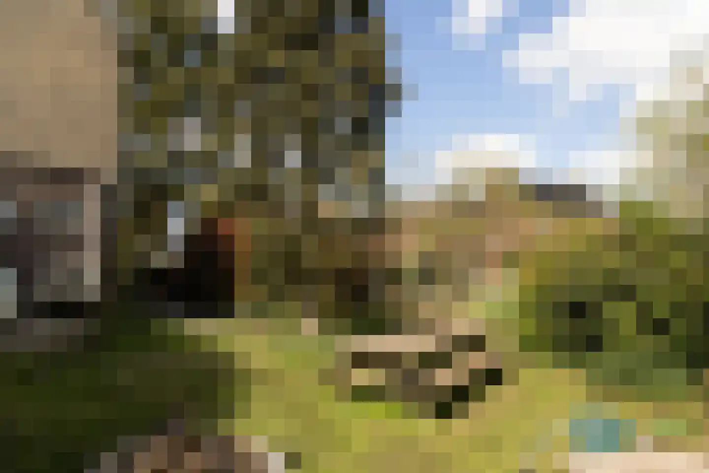 Schellingwouderdijk 331 Amsterdam thumbnail 39