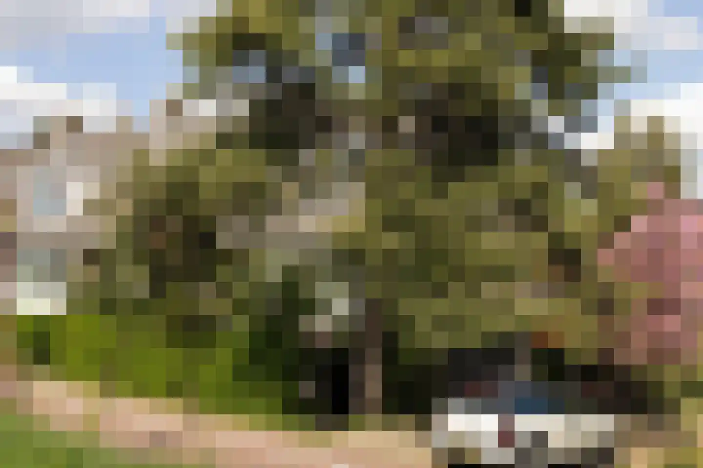 Schellingwouderdijk 331 Amsterdam thumbnail 4