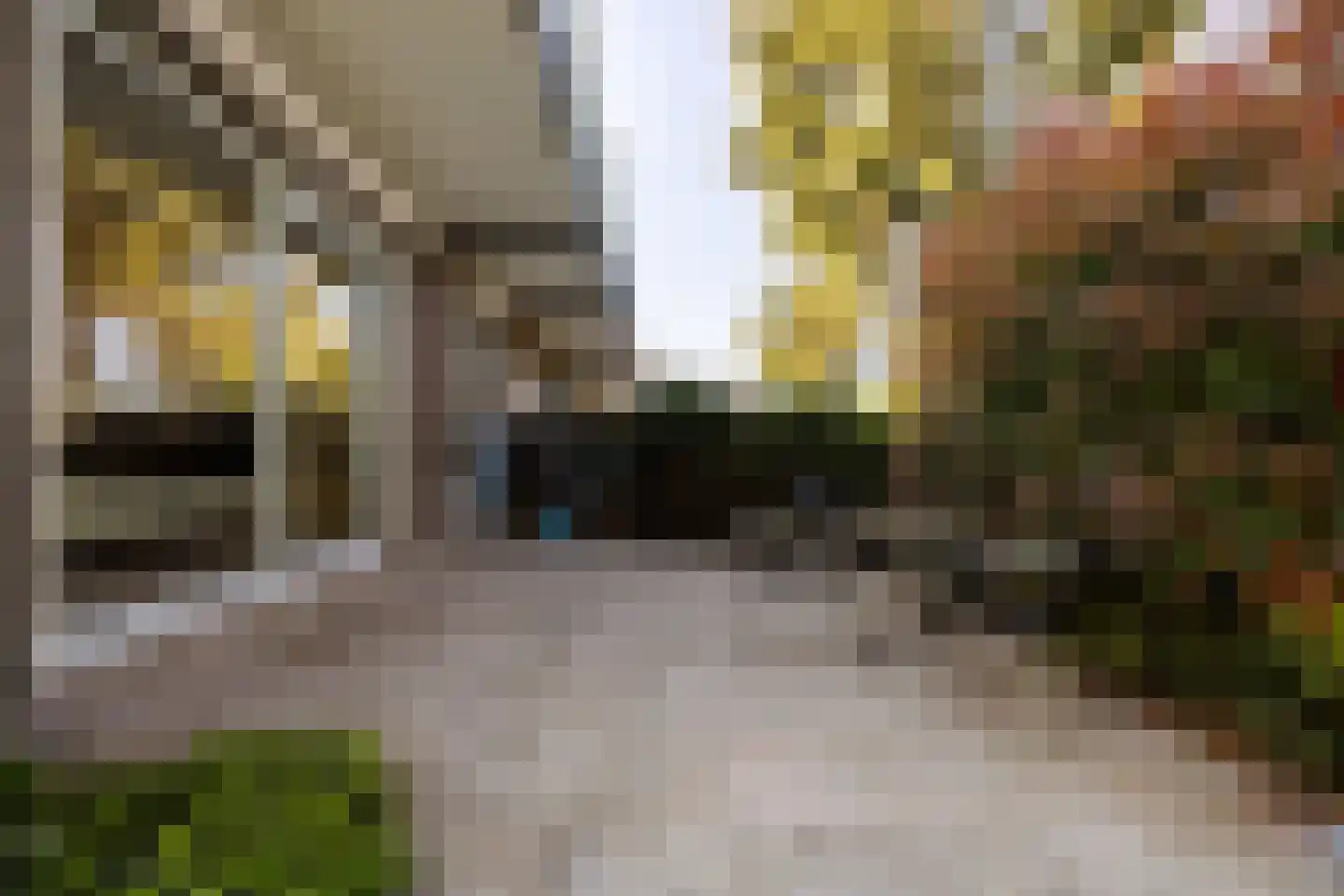 Schellingwouderdijk 331 Amsterdam thumbnail 40
