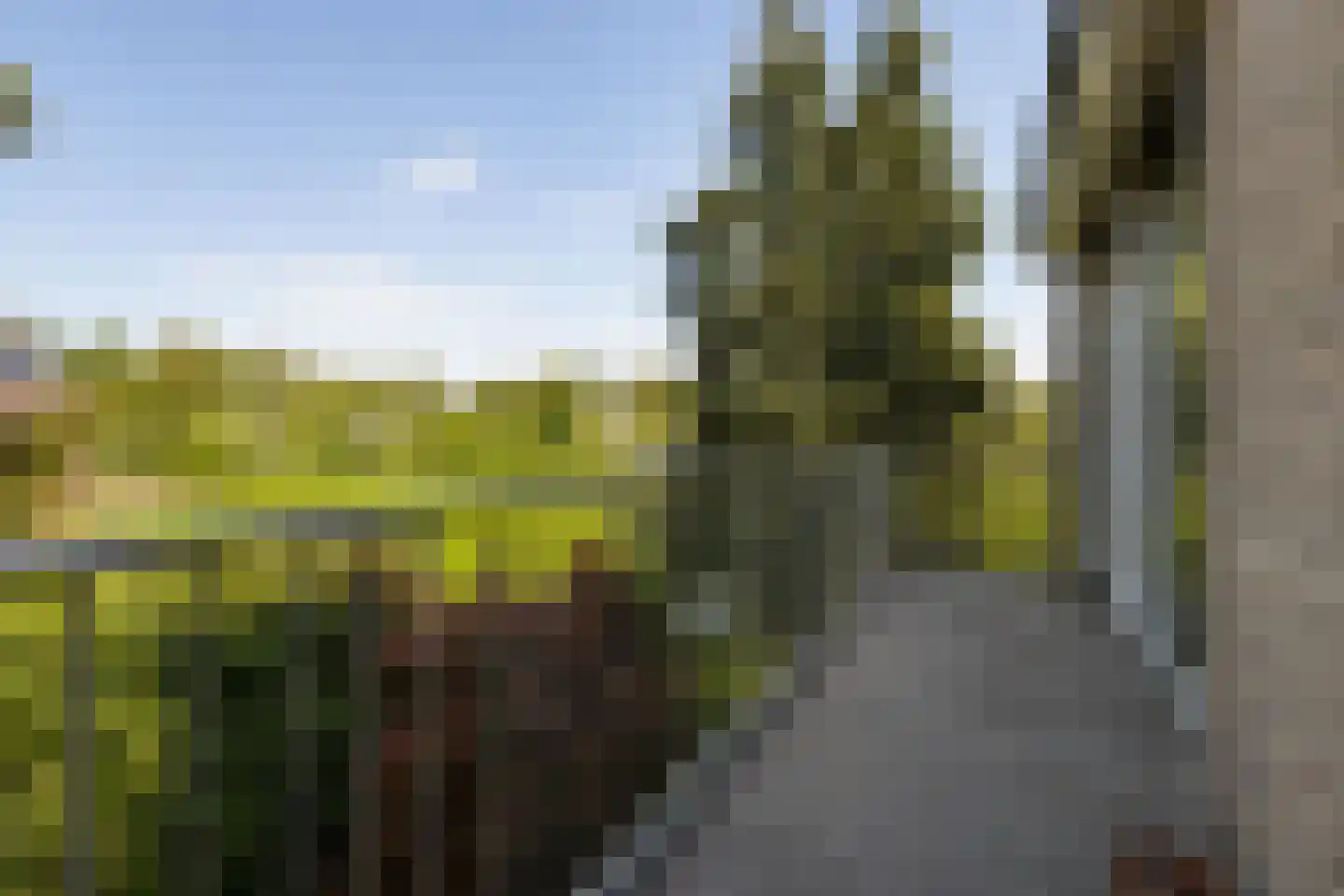 Schellingwouderdijk 331 Amsterdam thumbnail 41