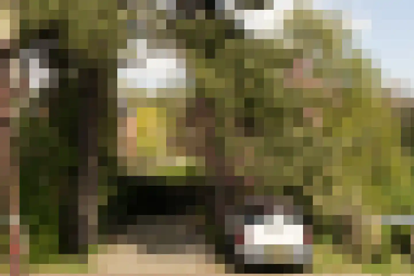 Schellingwouderdijk 331 Amsterdam thumbnail 43