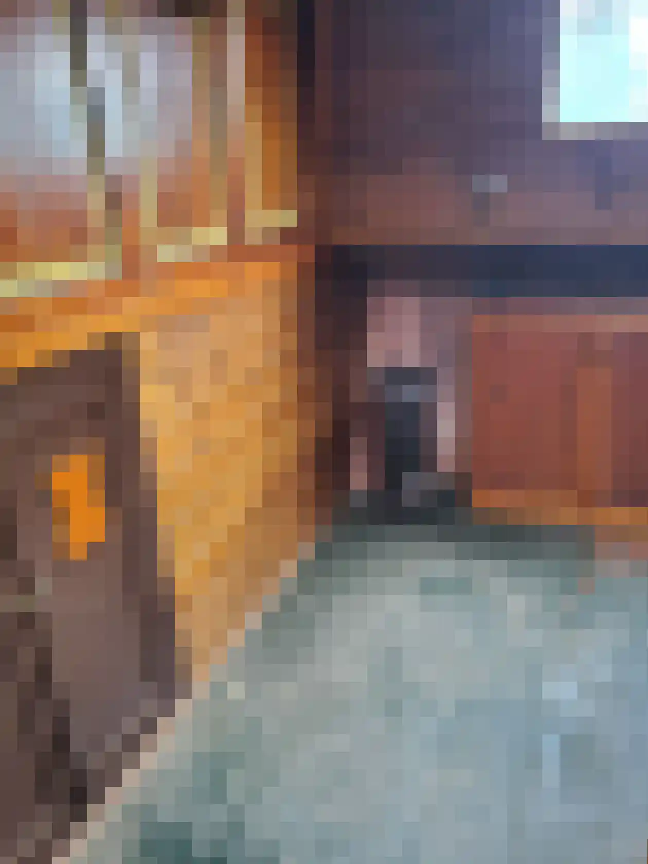 Schellingwouderdijk 382 C Amsterdam thumbnail 9