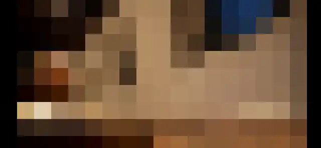 Schellingwouderdijk 420 Amsterdam thumbnail 14