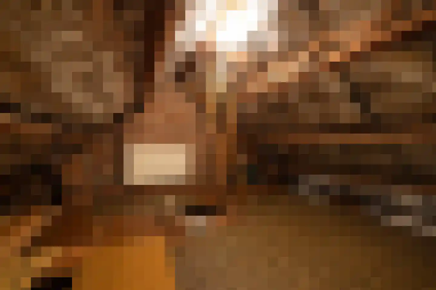 Schellingwouderdijk 83 Amsterdam thumbnail 16