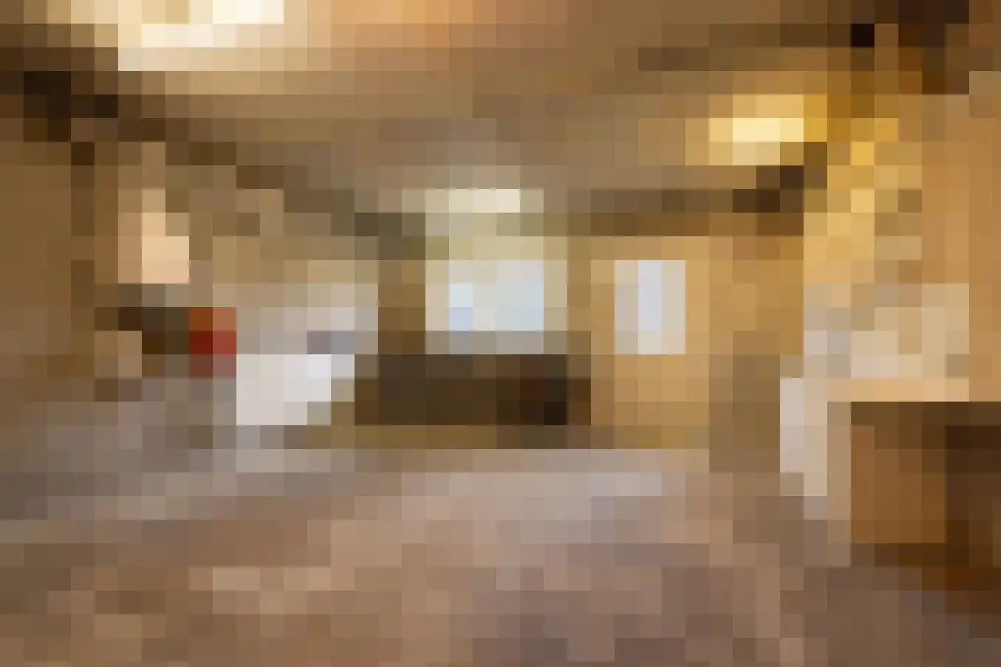 Schellingwouderdijk 83 Amsterdam thumbnail 18