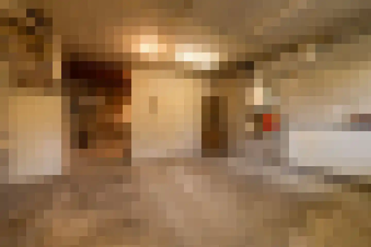 Schellingwouderdijk 83 Amsterdam thumbnail 19