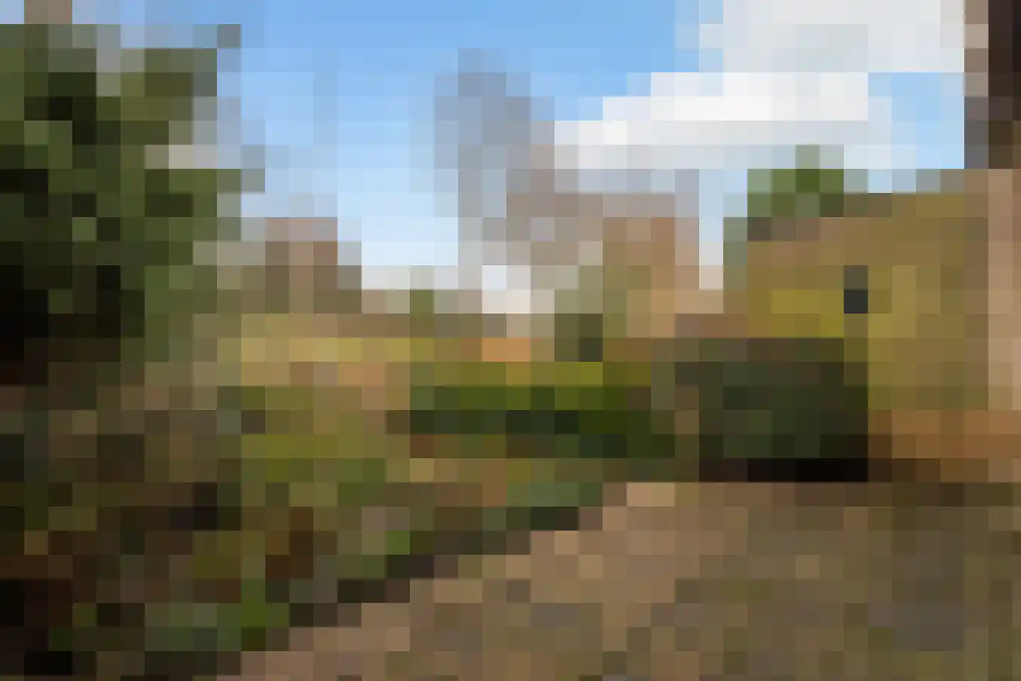 Schellingwouderdijk 83 Amsterdam thumbnail 21