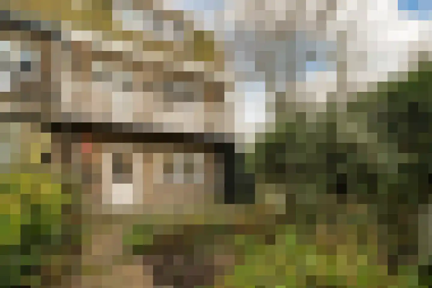 Schellingwouderdijk 83 Amsterdam thumbnail 22