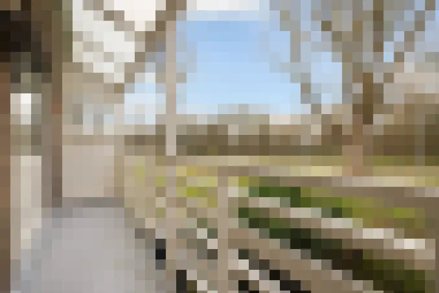 Schellingwouderdijk 83 Amsterdam thumbnail 24