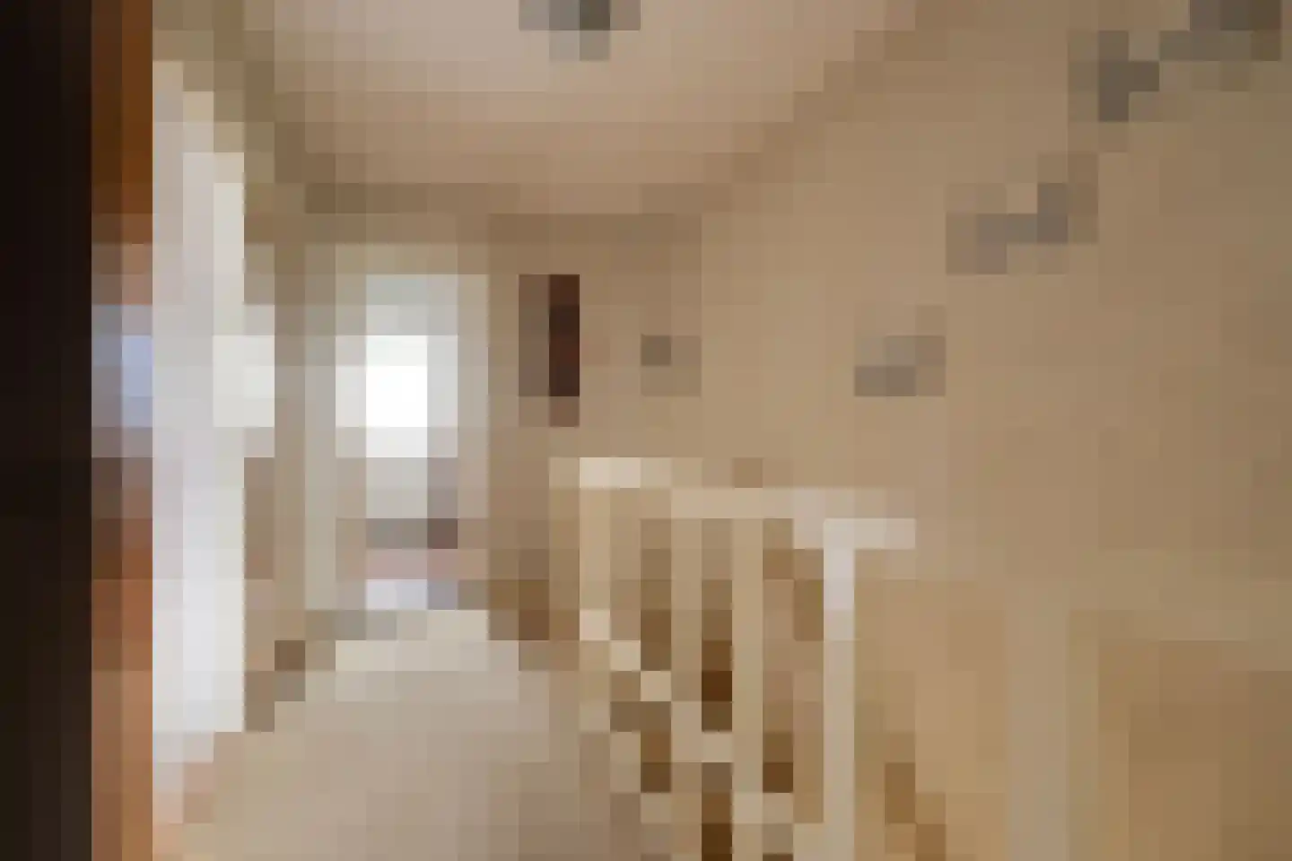 Schellingwouderdijk 83 Amsterdam thumbnail 38