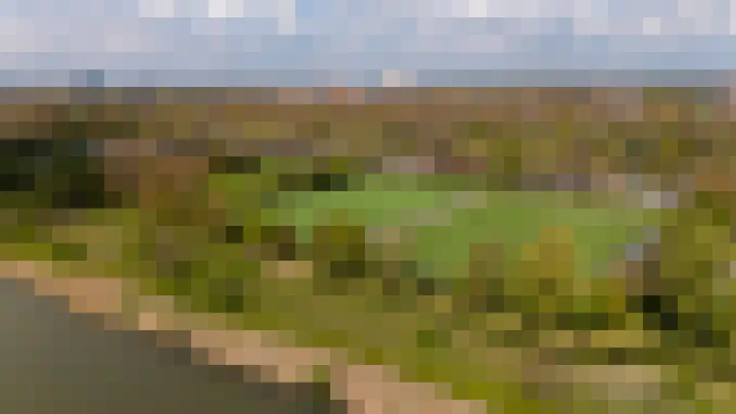 Schellingwouderdijk 83 Amsterdam thumbnail 42