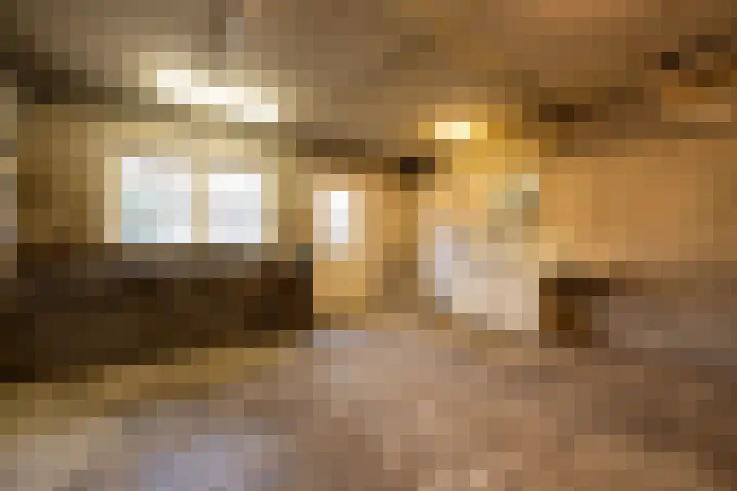 Schellingwouderdijk 83 Amsterdam thumbnail 43