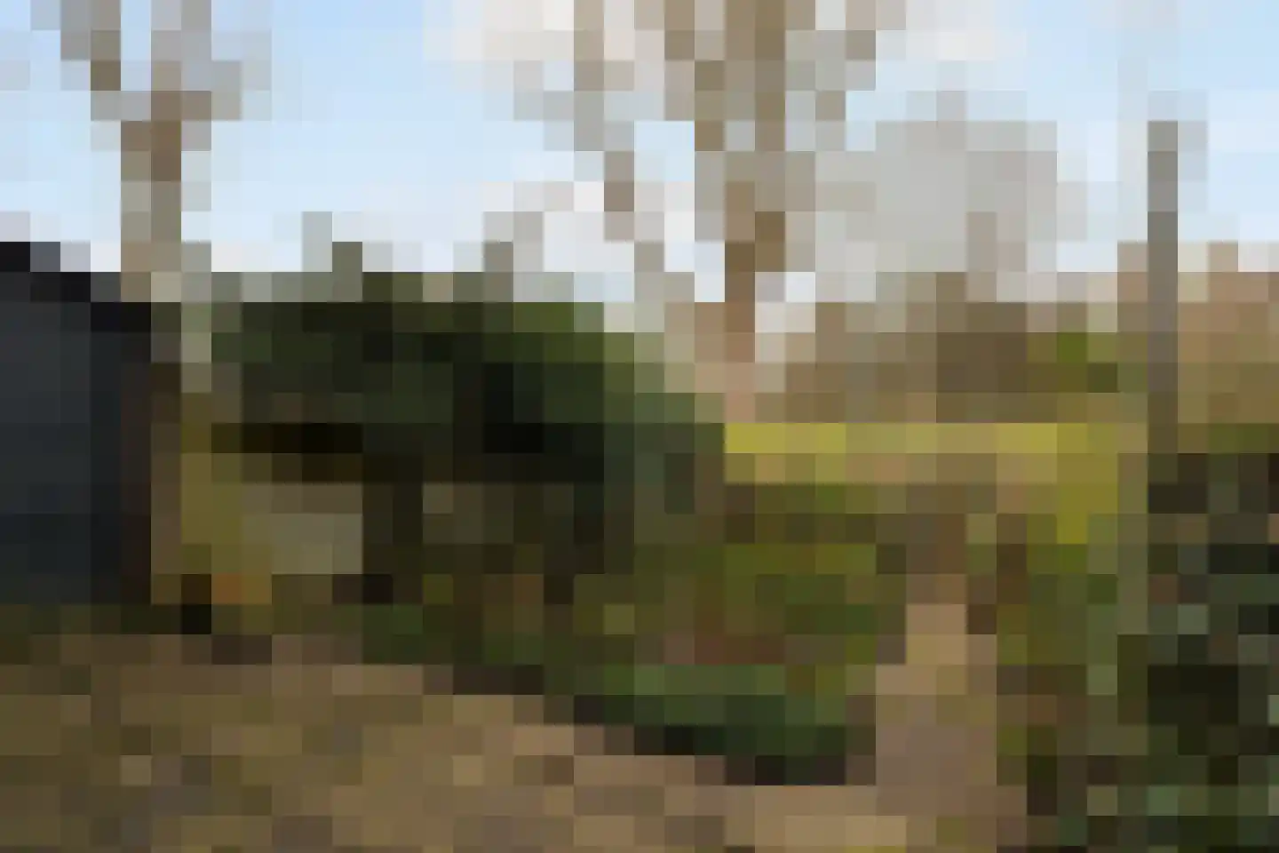 Schellingwouderdijk 83 Amsterdam thumbnail 44