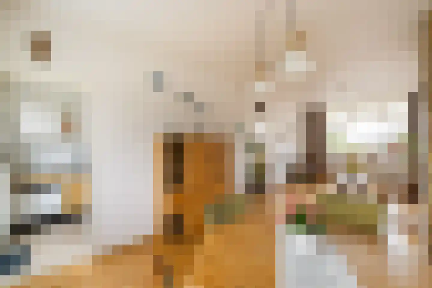 Schellingwouderdijk 83 Amsterdam thumbnail 5