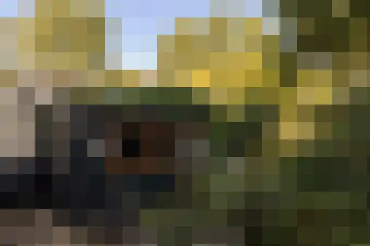 Schellingwouderdijk 99 Amsterdam thumbnail 28