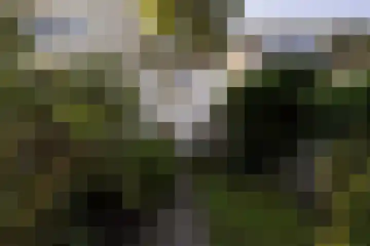 Schellingwouderdijk 99 Amsterdam thumbnail 29