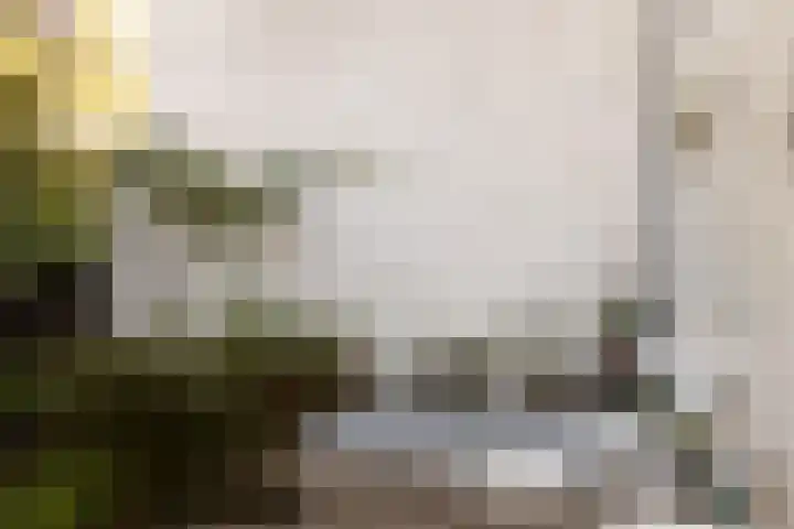 Schellingwouderdijk 99 Amsterdam thumbnail 31